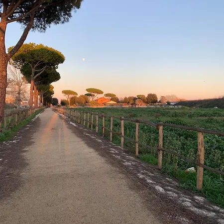 Lavi Parco Leonardo פיומיצ'ינו